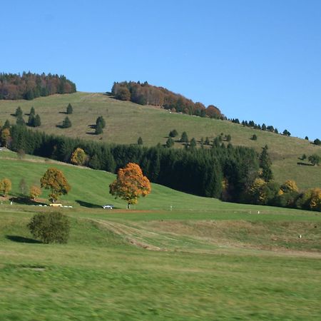 Cozy Holiday Apartment In The Black Forest Dachsberg im Schwarzwald Buitenkant foto