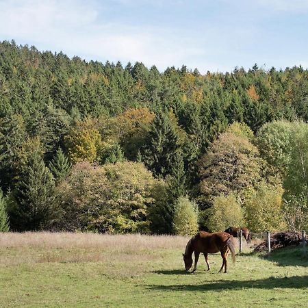 Cozy Holiday Apartment In The Black Forest Dachsberg im Schwarzwald Buitenkant foto