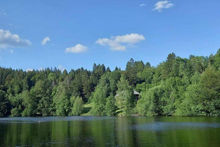 Cozy Holiday Apartment In The Black Forest Dachsberg im Schwarzwald Buitenkant foto